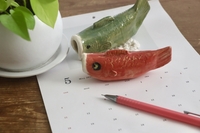 5月にお掃除をするメリット３つ